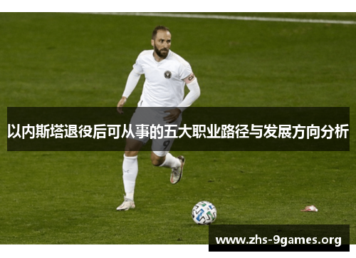 以内斯塔退役后可从事的五大职业路径与发展方向分析